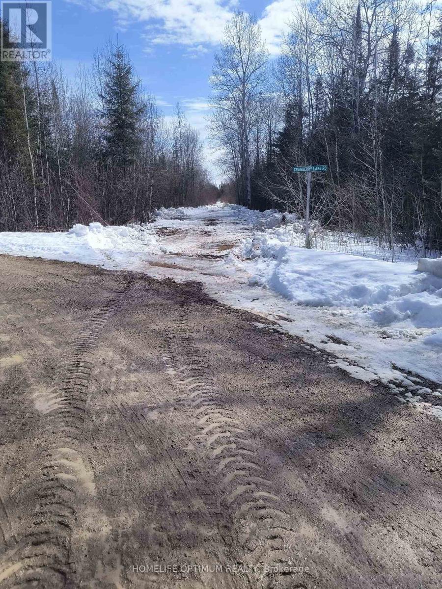 Pcl 21518a Nelles, Rainy River Remote Area, Ontario  P0W 1M0 - Photo 11 - X14104914