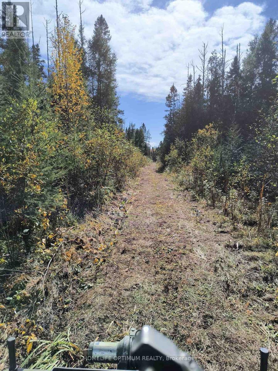 Pcl 21518a Nelles, Rainy River Remote Area, Ontario  P0W 1M0 - Photo 12 - X14104914