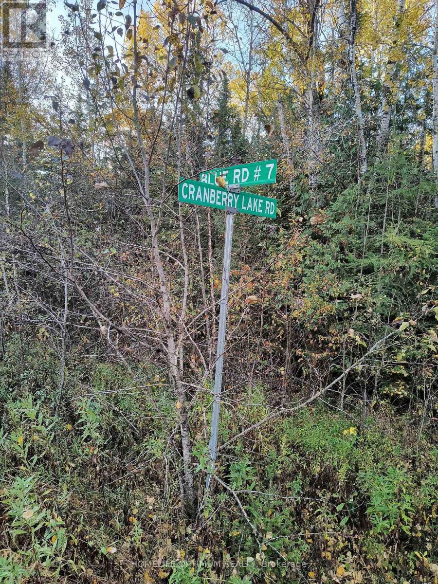 Pcl 21518a Nelles, Rainy River Remote Area, Ontario  P0W 1M0 - Photo 16 - X14104914