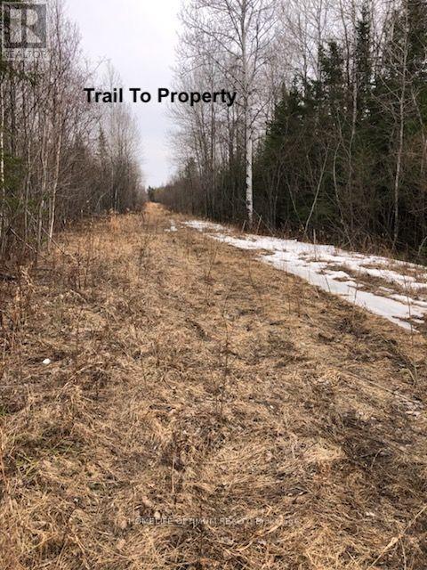 Pcl 21518a Nelles, Rainy River Remote Area, Ontario  P0W 1M0 - Photo 7 - X14104914