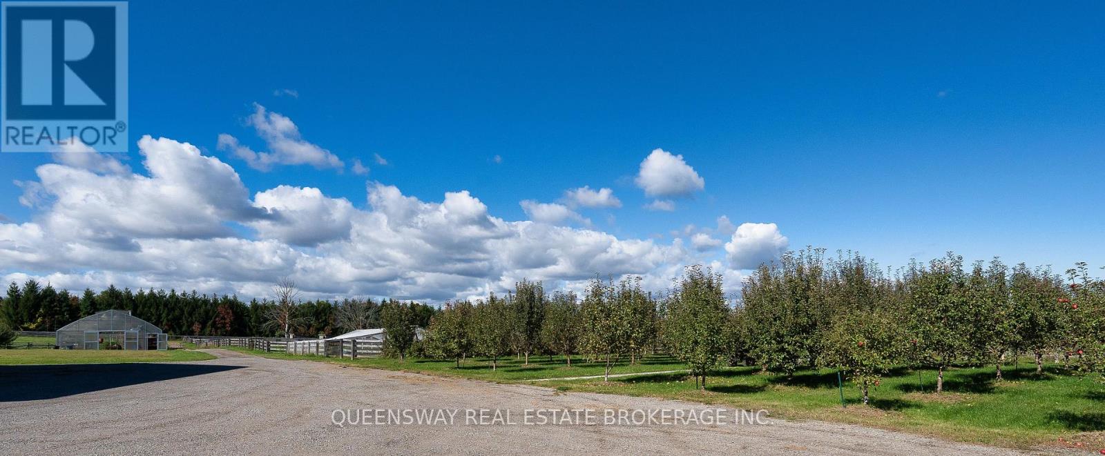 8388 Fifth Side Road, Adjala-Tosorontio, Ontario  L0G 1L0 - Photo 40 - N14104926