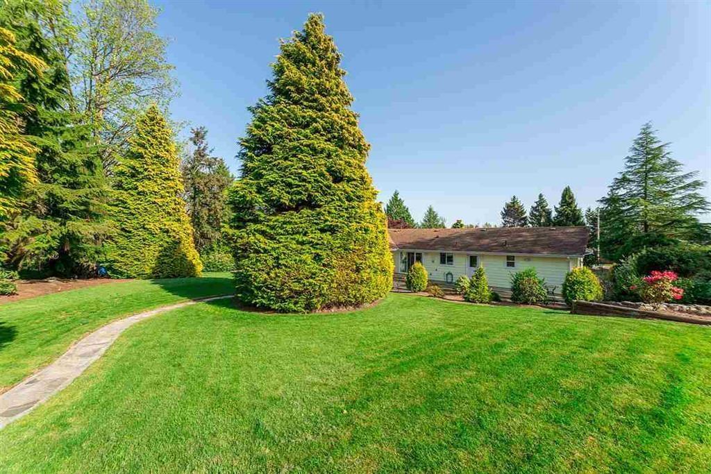 18075 20 Ave, Surrey, British Columbia  V3Z 9V8 - Photo 5 - R3176636