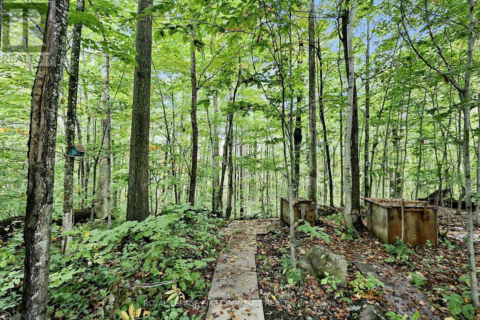 2442 Champlain Road, Tiny, Ontario  L9M 0C9 - Photo 6 - S13872170
