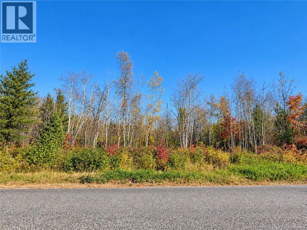 / Rue Omer, Pointe-À-Tom, New Brunswick E1X 3X1 - Photo 1 - NB149854