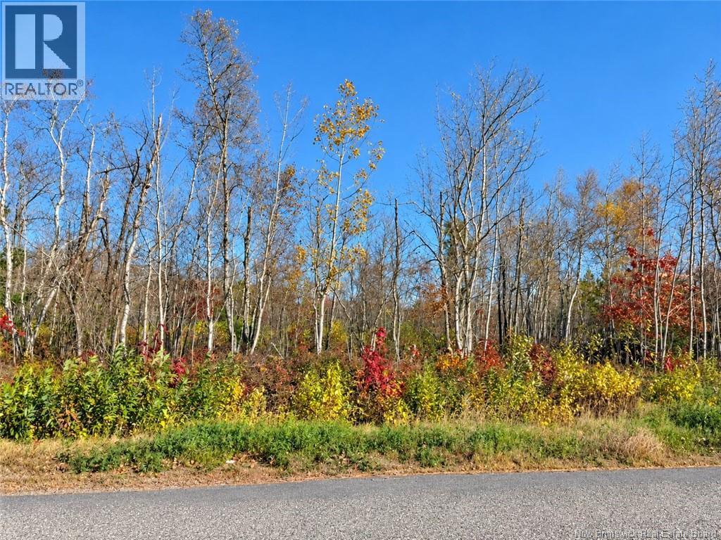 / Rue Omer, Pointe-À-Tom, New Brunswick E1X 3X1 - Photo 3 - NB149854