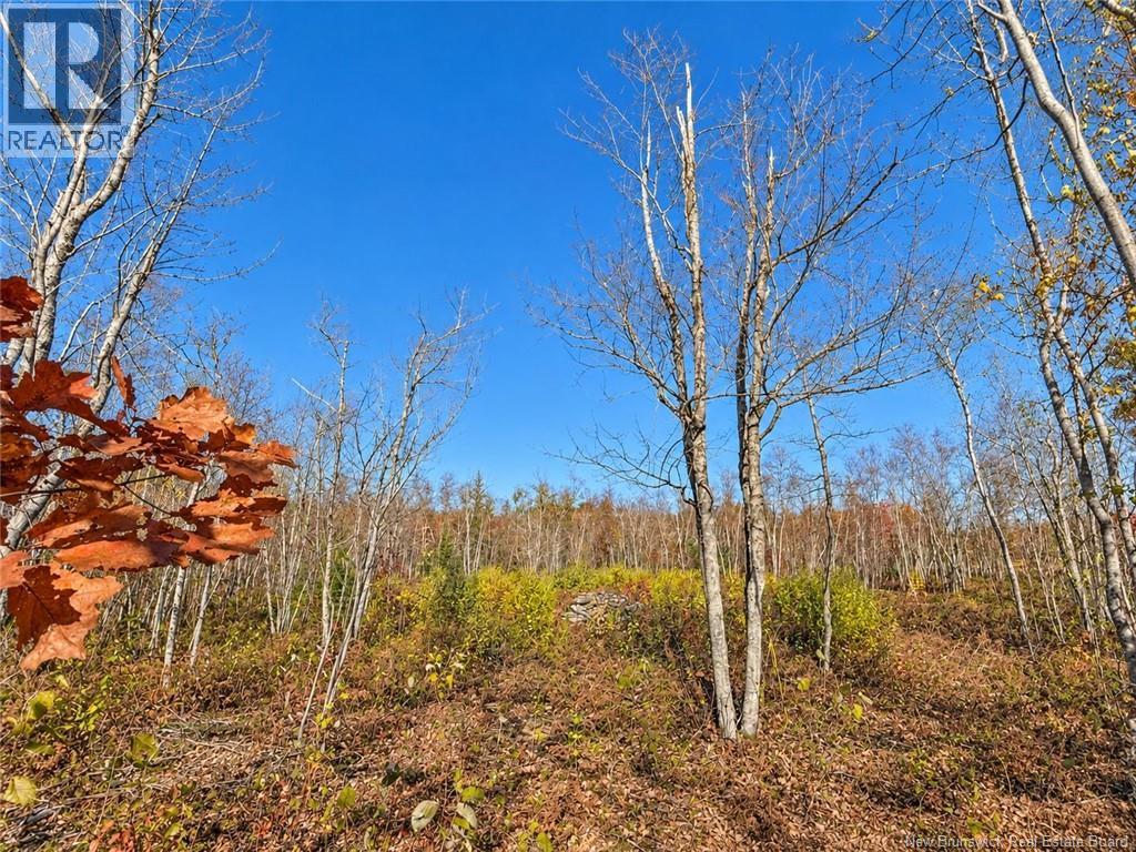 / Rue Omer, Pointe-À-Tom, New Brunswick E1X 3X1 - Photo 5 - NB149854