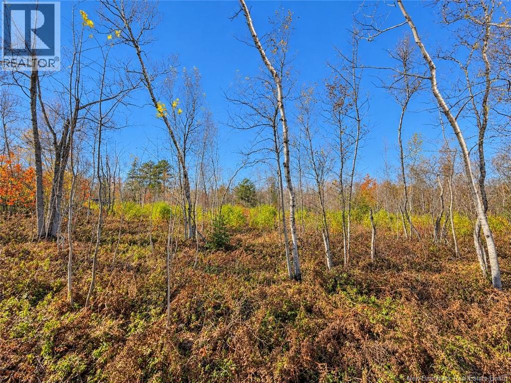 / Rue Omer, Pointe-À-Tom, New Brunswick E1X 3X1 - Photo 6 - NB149854