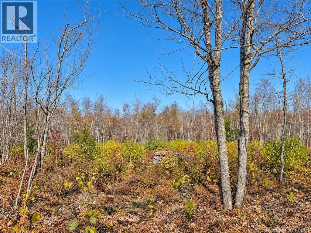 / Rue Omer, Pointe-À-Tom, New Brunswick E1X 3X1 - Photo 7 - NB149854