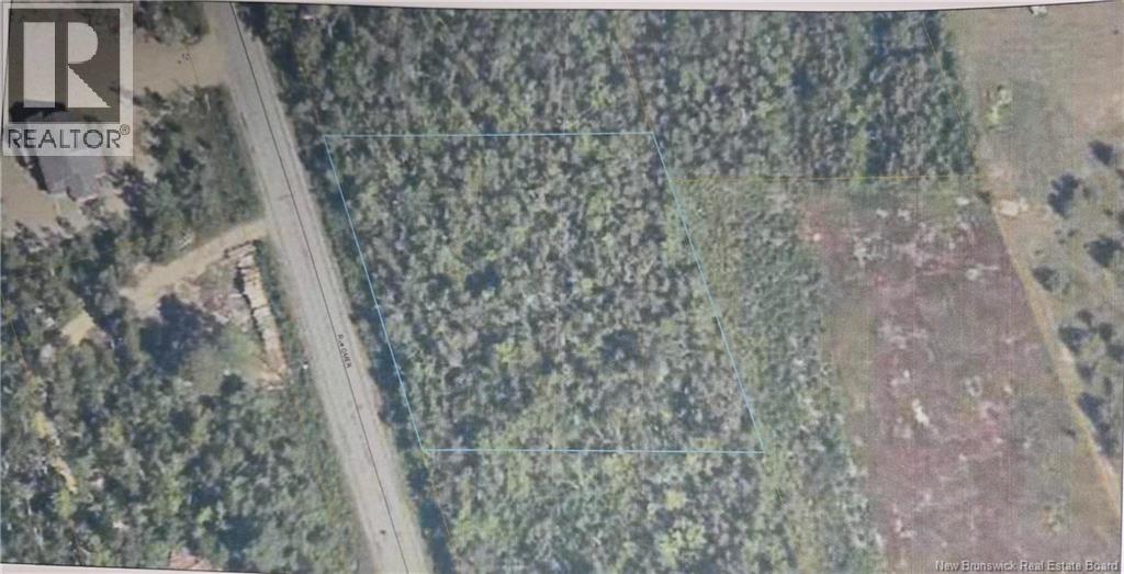 / Rue Omer, Pointe-À-Tom, New Brunswick E1X 3X1 - Photo 9 - NB149854