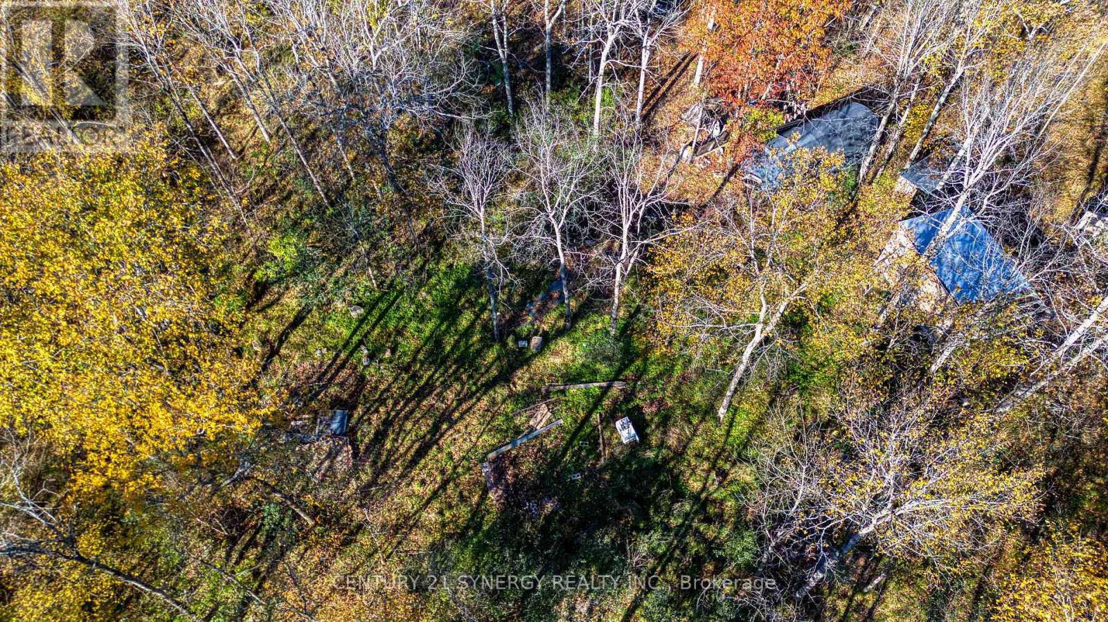 635 Miner's Point Rd, Rr3 Road, Tay Valley, Ontario  K7H 3C5 - Photo 11 - X14105408