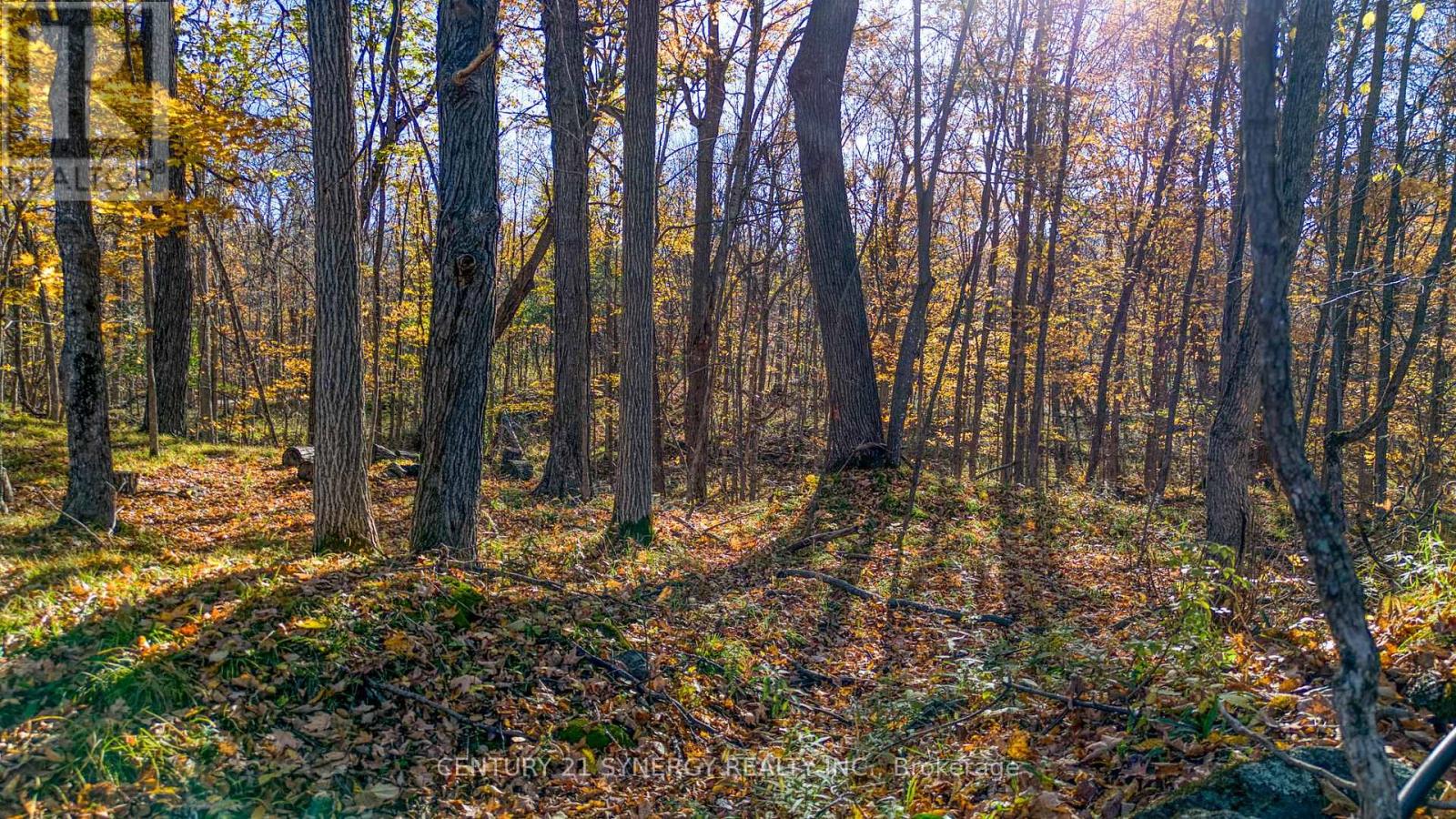 635 Miner's Point Rd, Rr3 Road, Tay Valley, Ontario  K7H 3C5 - Photo 16 - X14105408