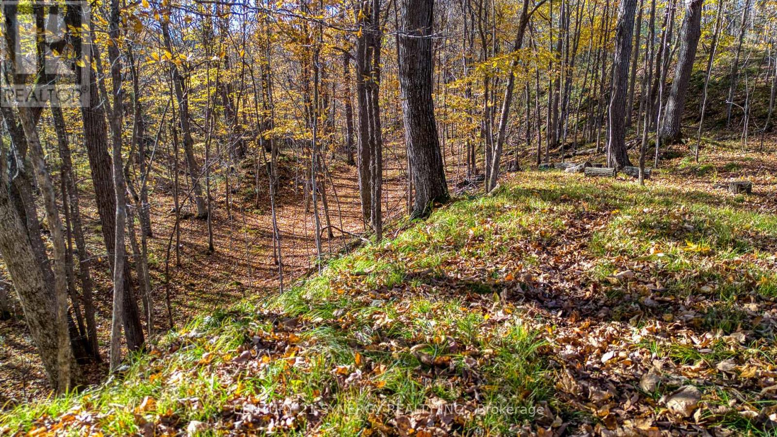 635 Miner's Point Rd, Rr3 Road, Tay Valley, Ontario  K7H 3C5 - Photo 17 - X14105408