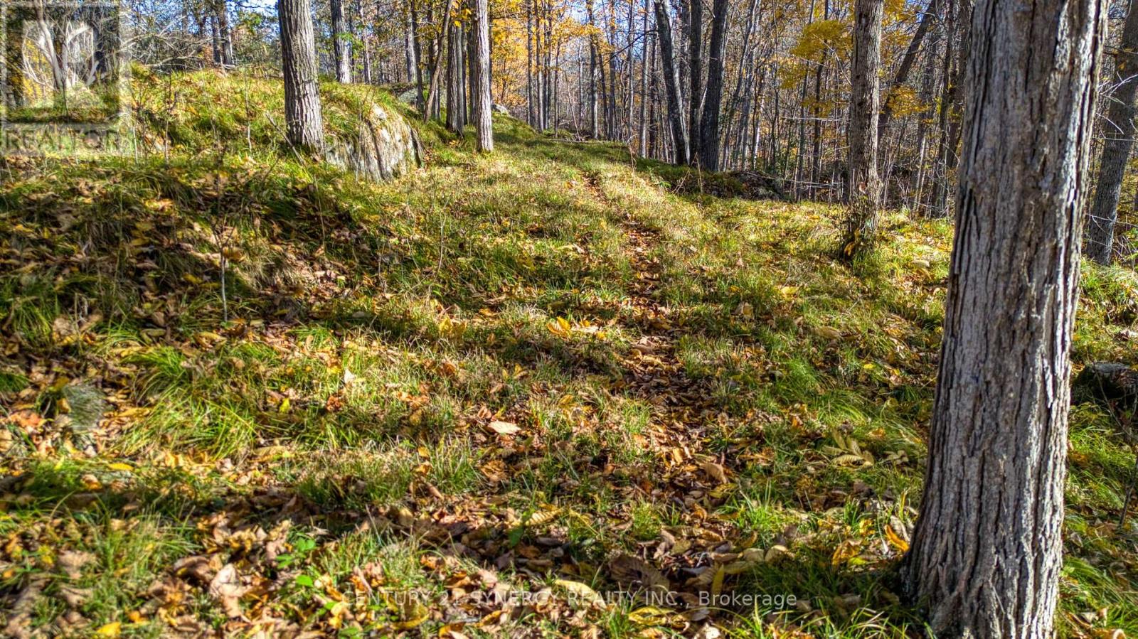 635 Miner's Point Rd, Rr3 Road, Tay Valley, Ontario  K7H 3C5 - Photo 18 - X14105408