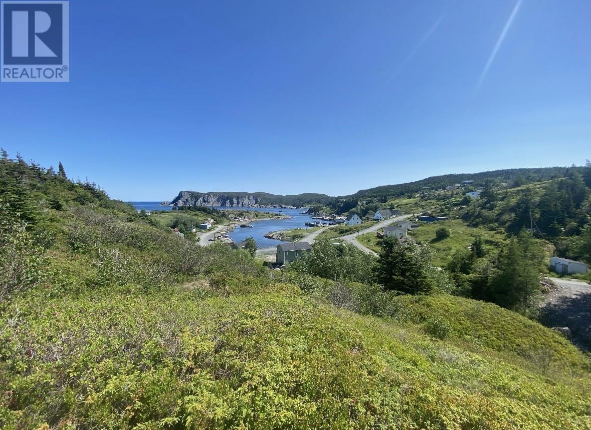 0 Dunphys Hill, Brigus South — photo 38