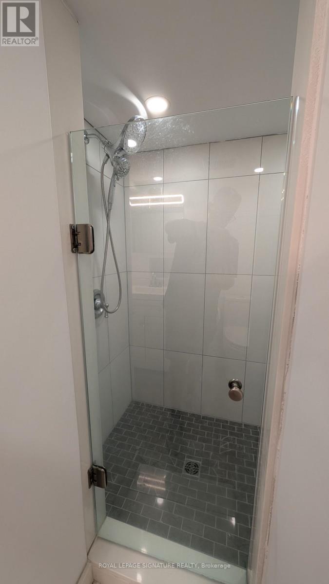 Lower - 231 Havelock Street, Toronto (Dufferin Grove), Ontario  M6H 3B8 - Photo 12 - C14105548
