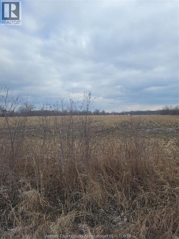 V/L MCLEOD, Amherstburg, Ontario