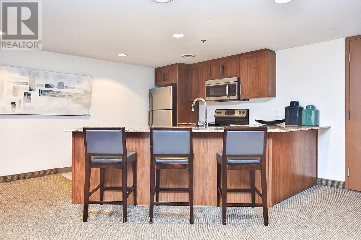 1305 - 242 Rideau Street, Ottawa, Ontario  K1N 0B7 - Photo 31 - X14105988
