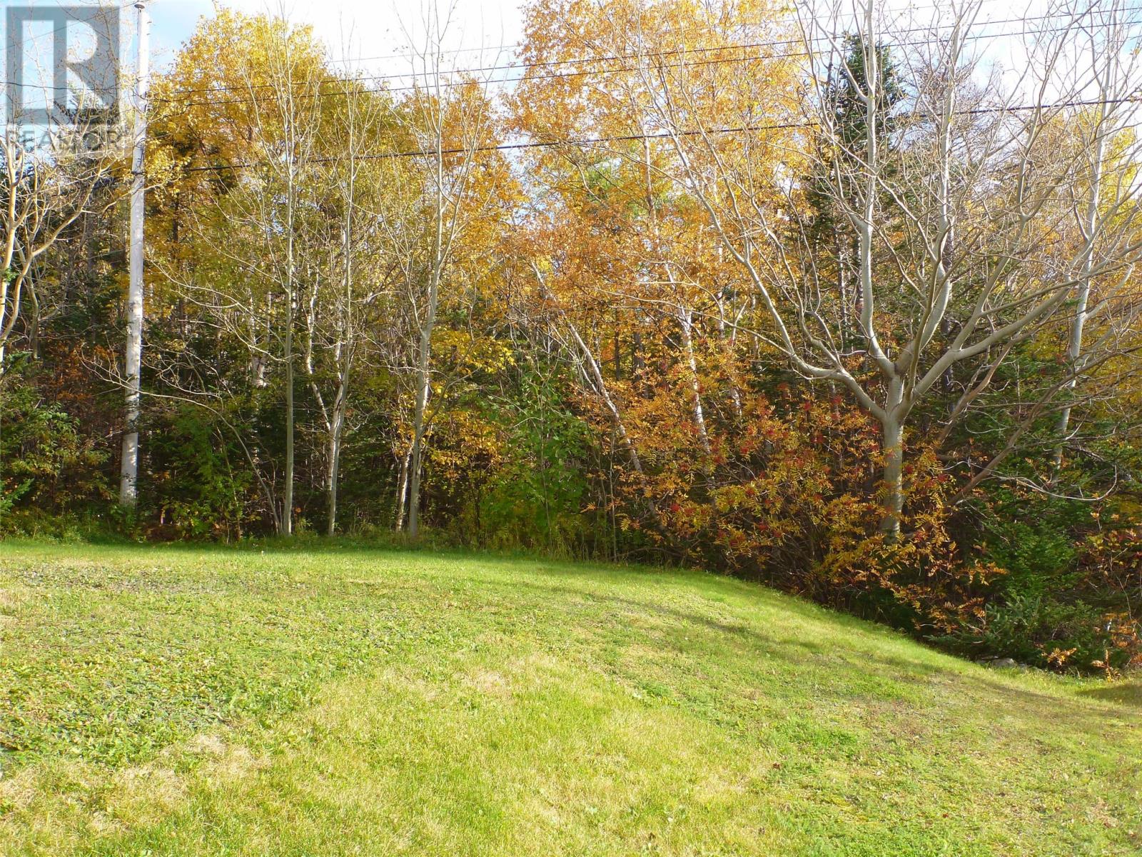 11 Gillbert Avenue, Clarenville — photo 6
