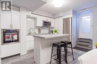 Lower - 114 Sheridan Avenue, Toronto (Little Portugal), Ontario  M6K 2H2 - Photo 2 - C14106262