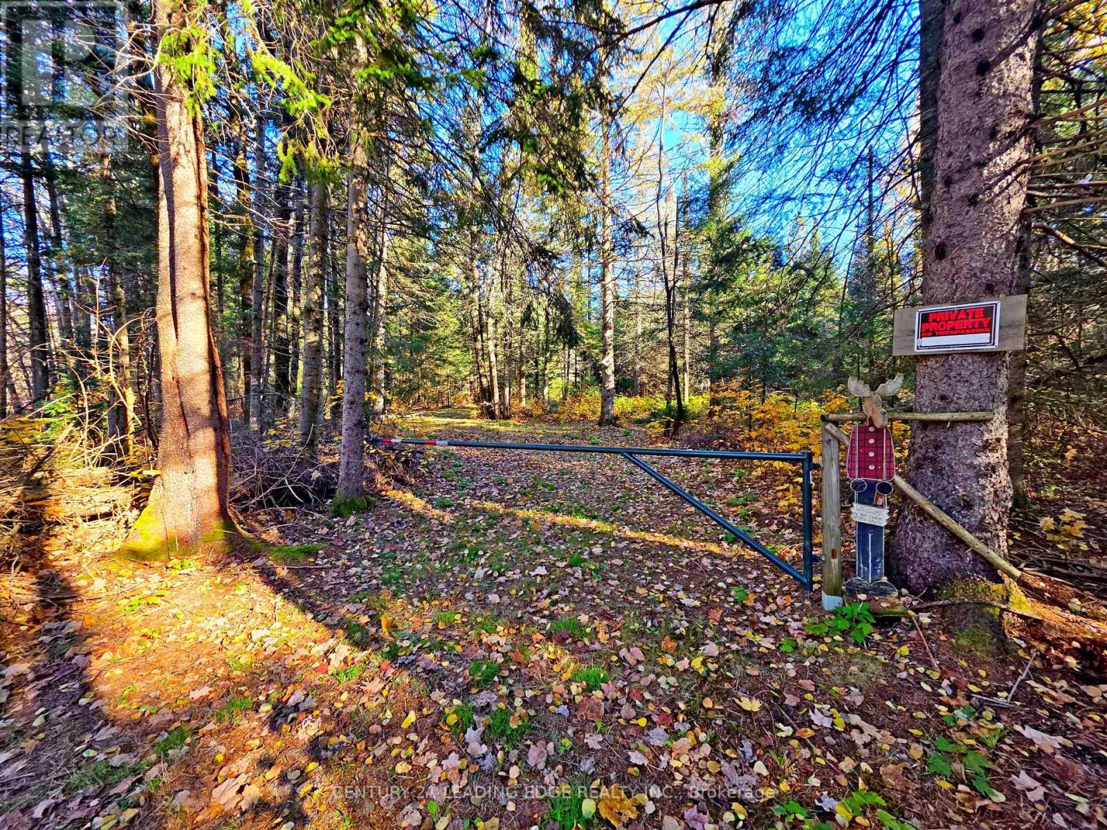 893 Yearley Road, Huntsville, Ontario  P0B 1M0 - Photo 2 - X14106344