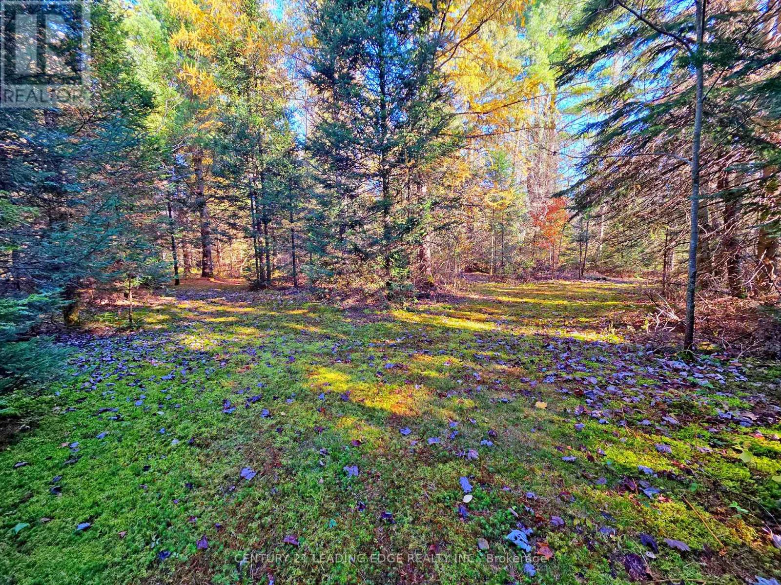 893 Yearley Road, Huntsville, Ontario  P0B 1M0 - Photo 4 - X14106344