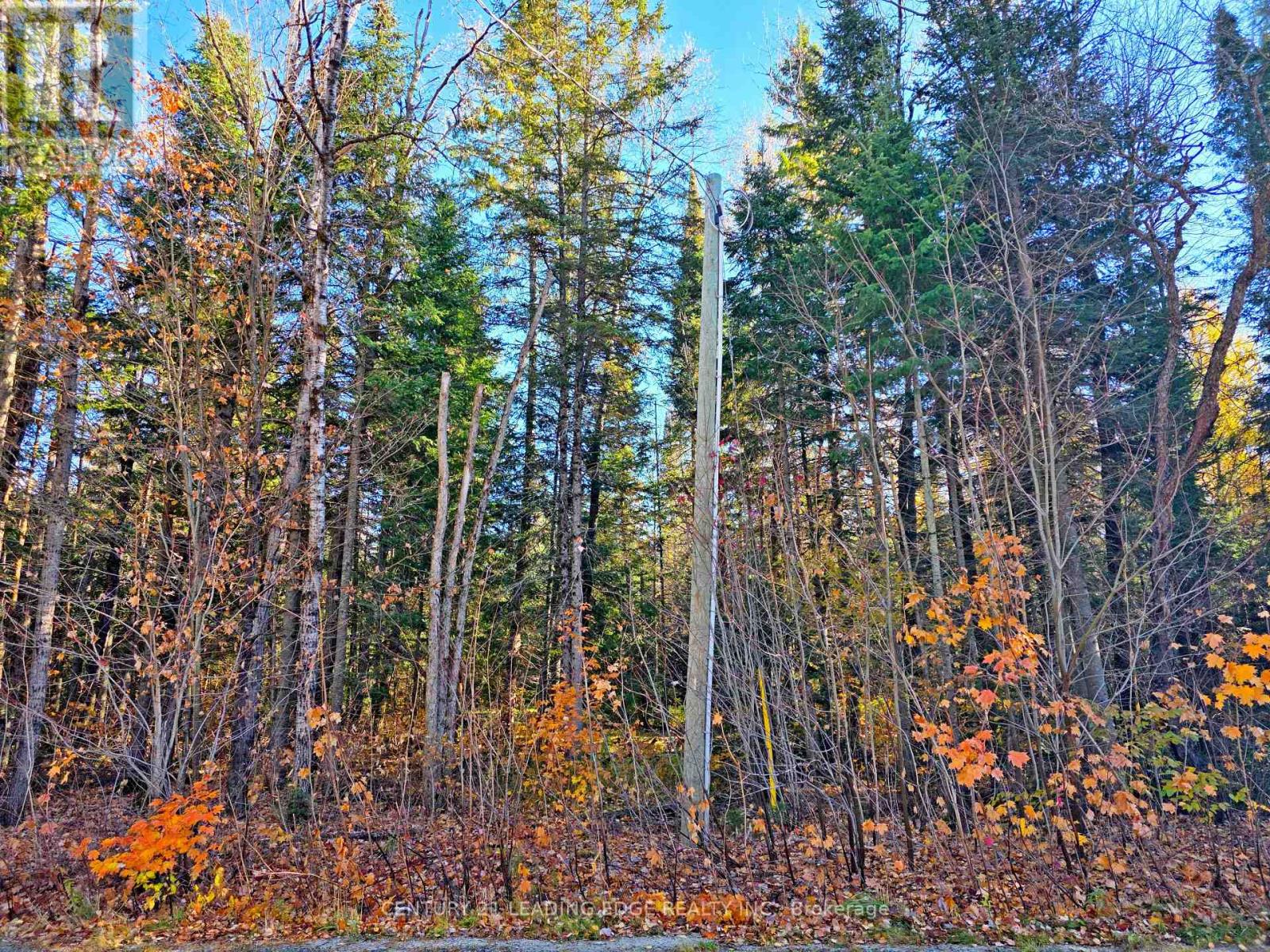 893 Yearley Road, Huntsville, Ontario  P0B 1M0 - Photo 6 - X14106344