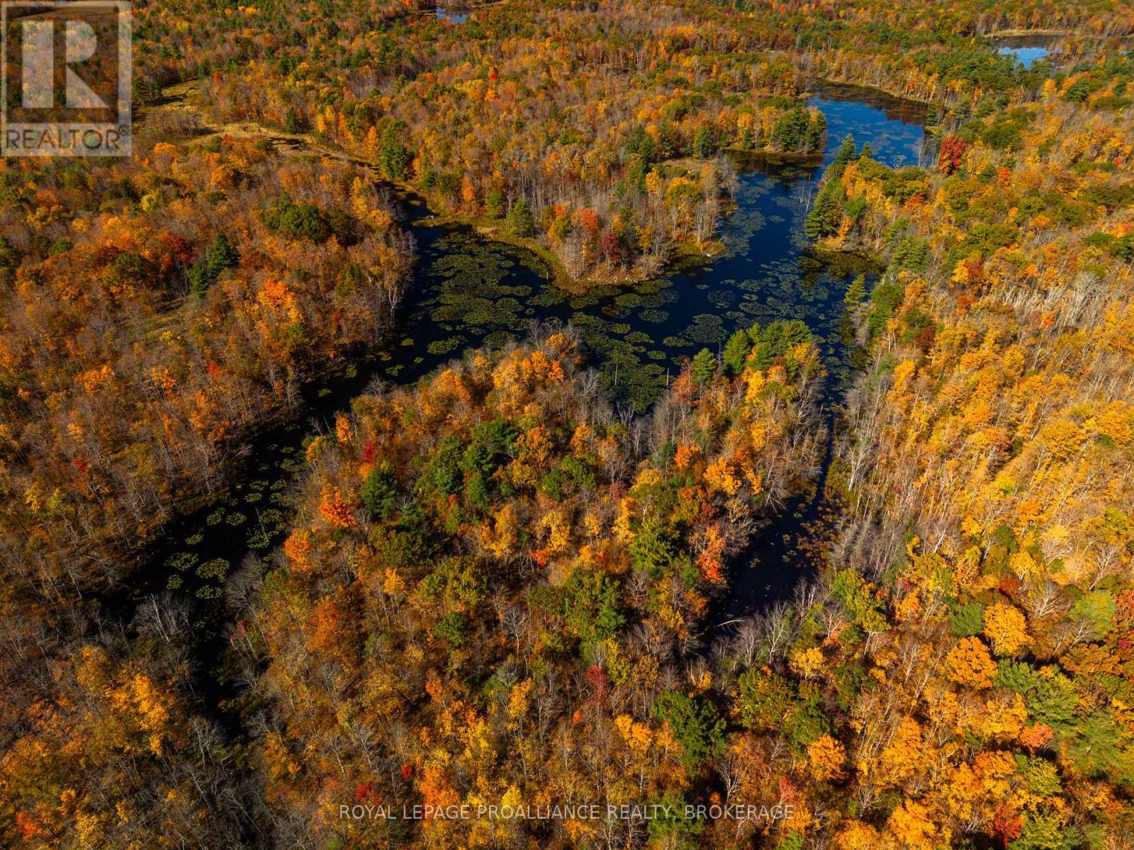 Lot 6 California Road, Stone Mills, Ontario  K0K 1Z0 - Photo 10 - X14106686