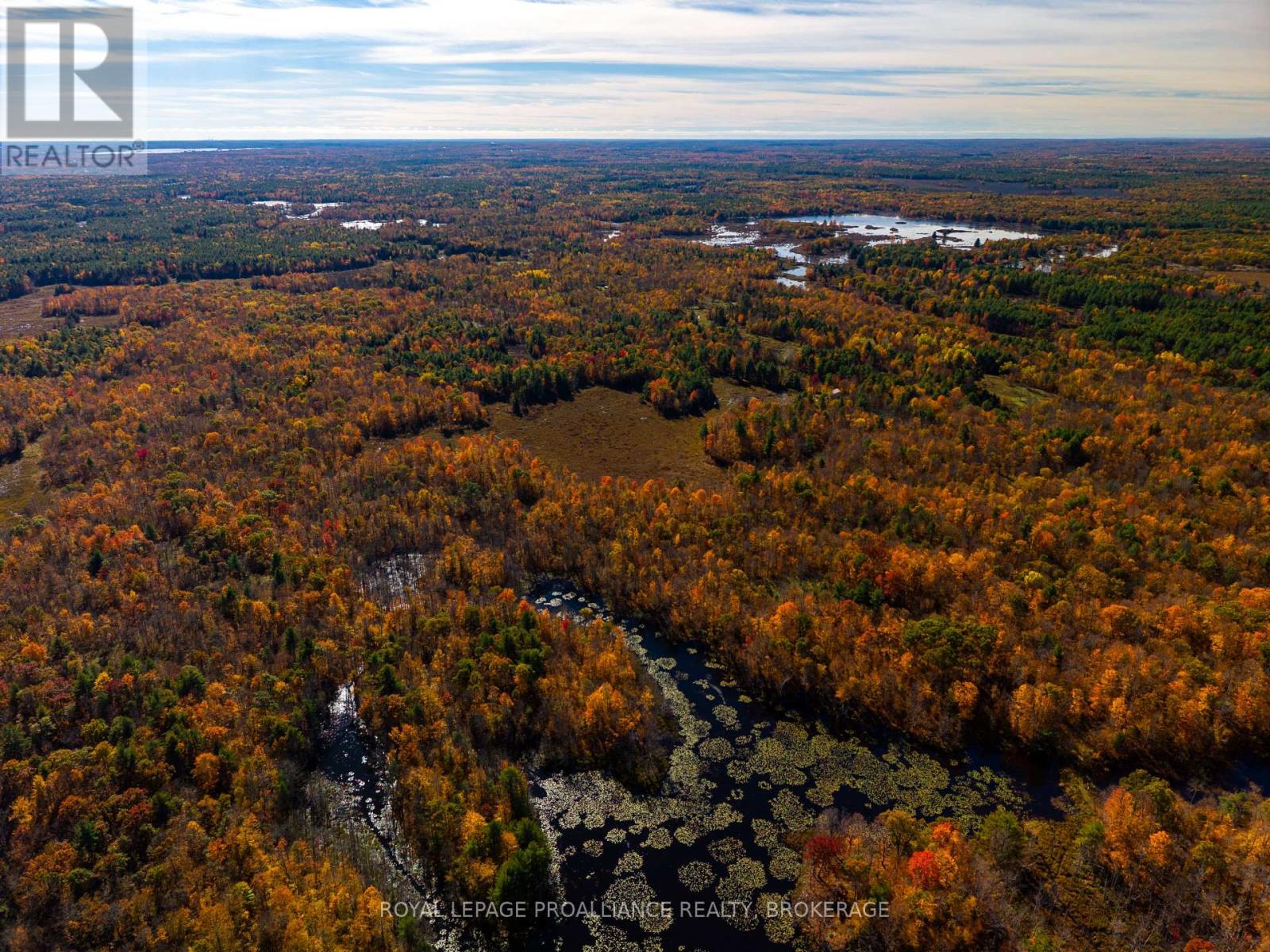 Lot 6 California Road, Stone Mills, Ontario  K0K 1Z0 - Photo 11 - X14106686