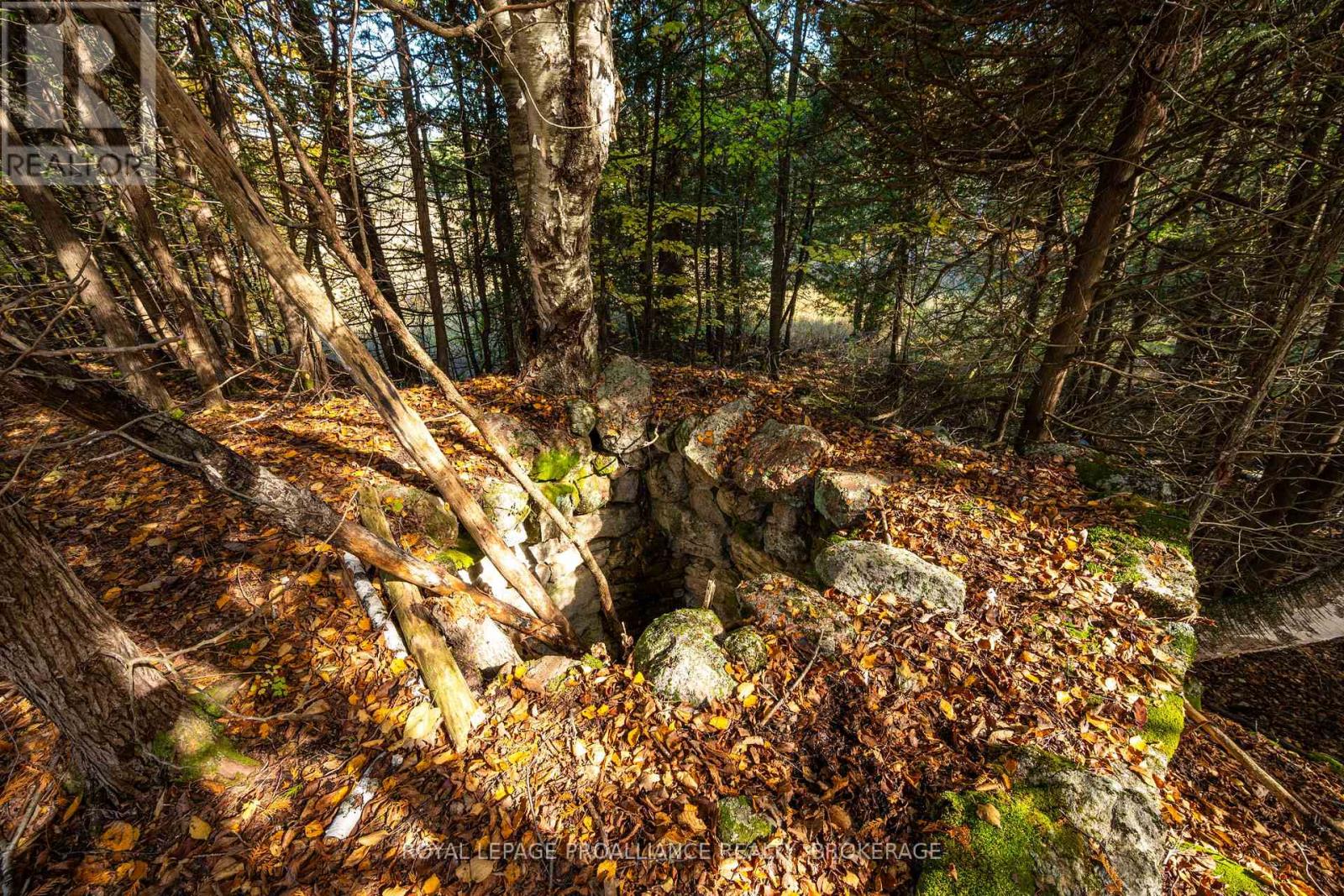 Lot 6 California Road, Stone Mills, Ontario  K0K 1Z0 - Photo 30 - X14106686