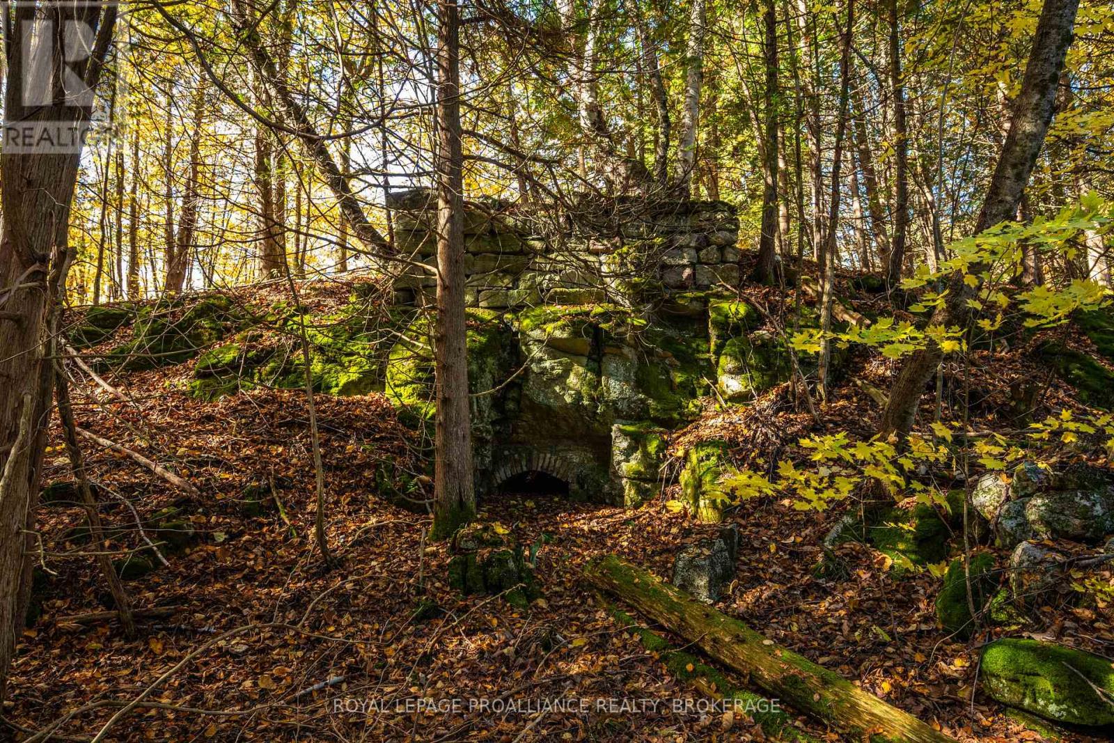 Lot 6 California Road, Stone Mills, Ontario  K0K 1Z0 - Photo 31 - X14106686