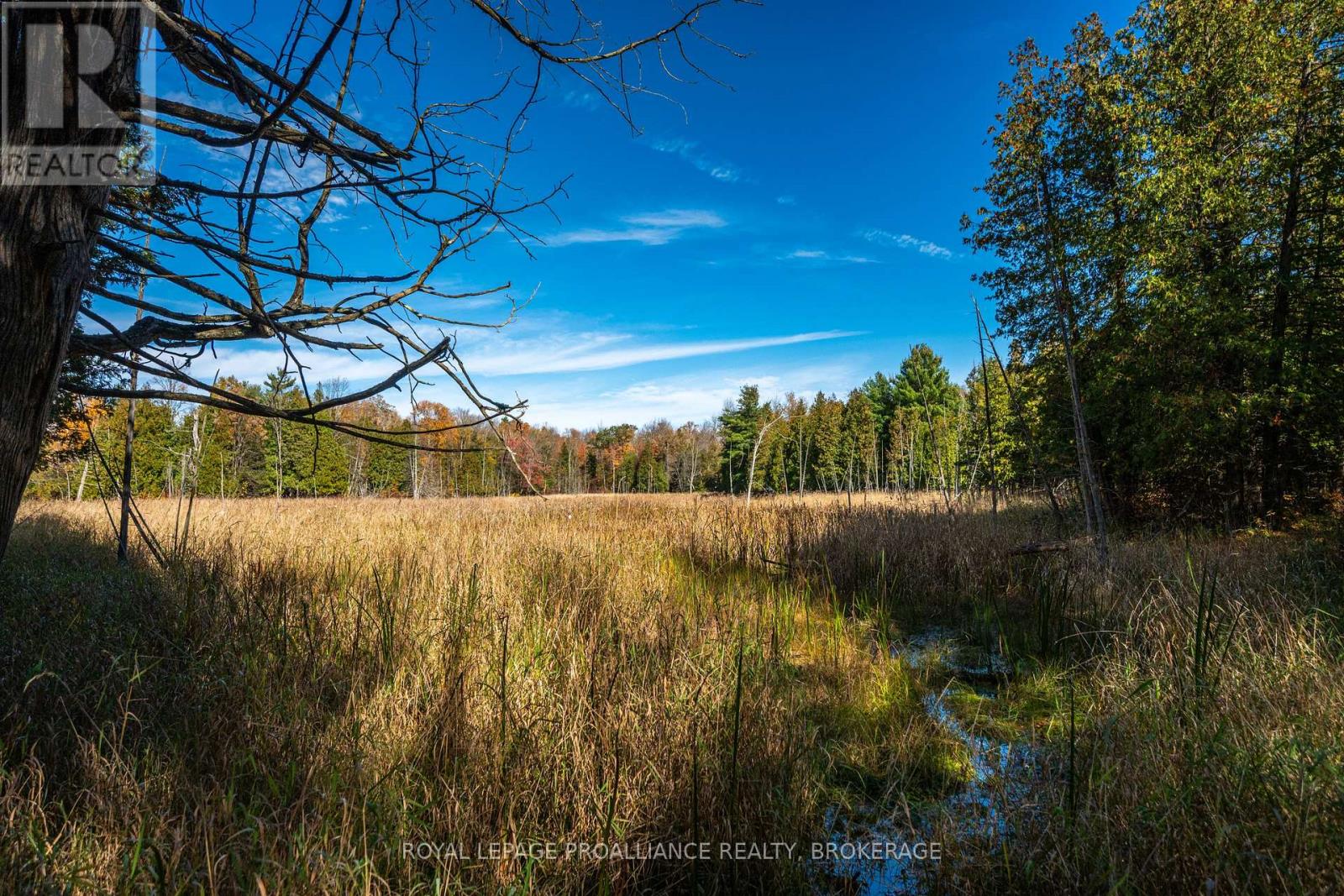 Lot 6 California Road, Stone Mills, Ontario  K0K 1Z0 - Photo 32 - X14106686