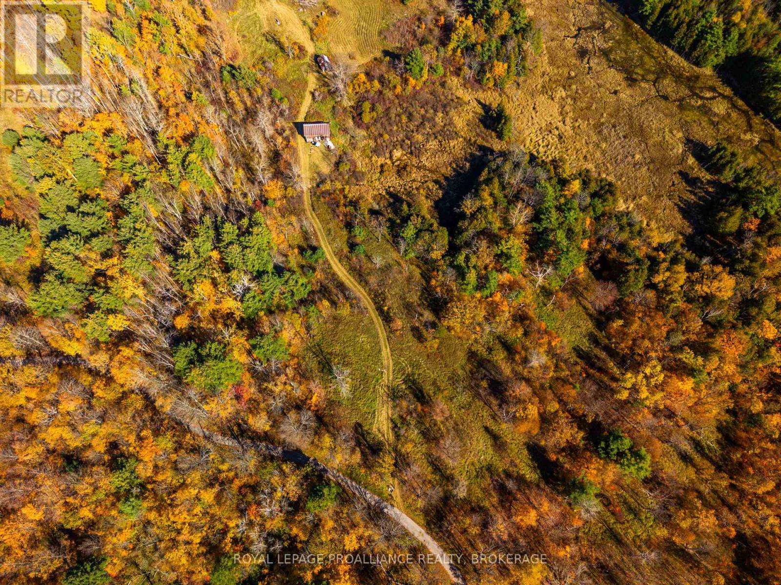 Lot 6 California Road, Stone Mills, Ontario  K0K 1Z0 - Photo 4 - X14106686