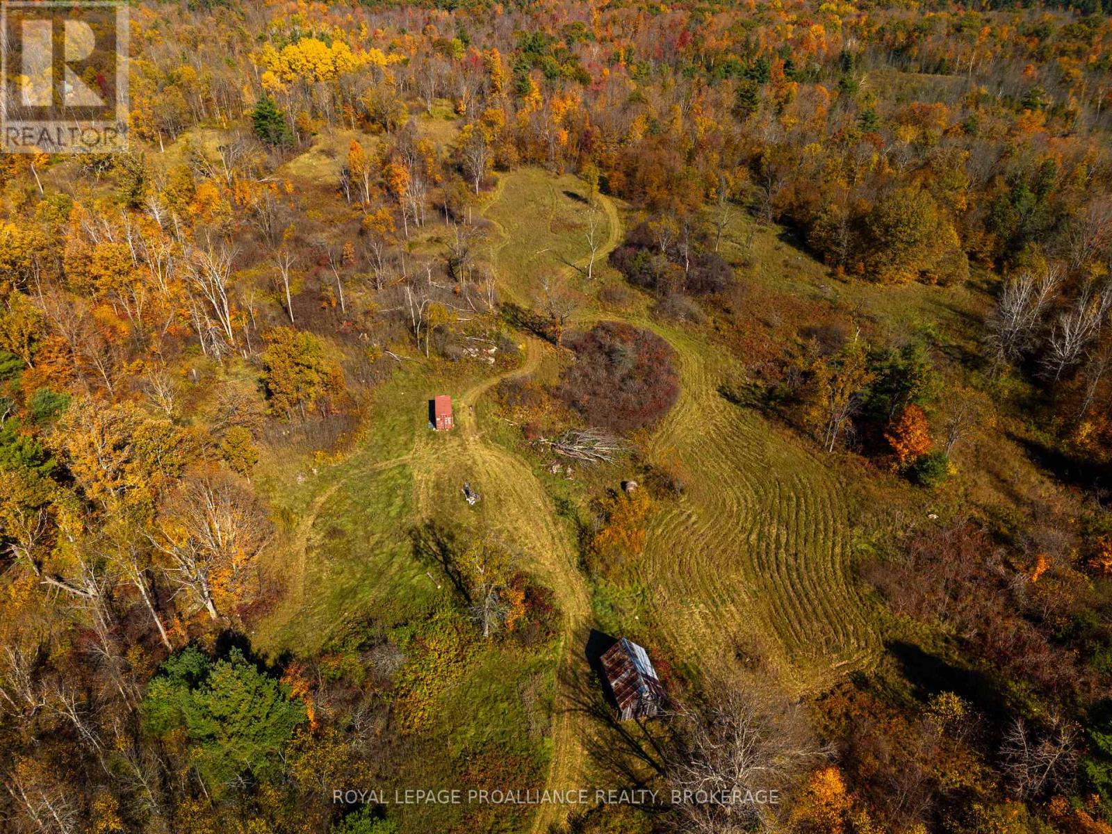 Lot 6 California Road, Stone Mills, Ontario  K0K 1Z0 - Photo 5 - X14106686