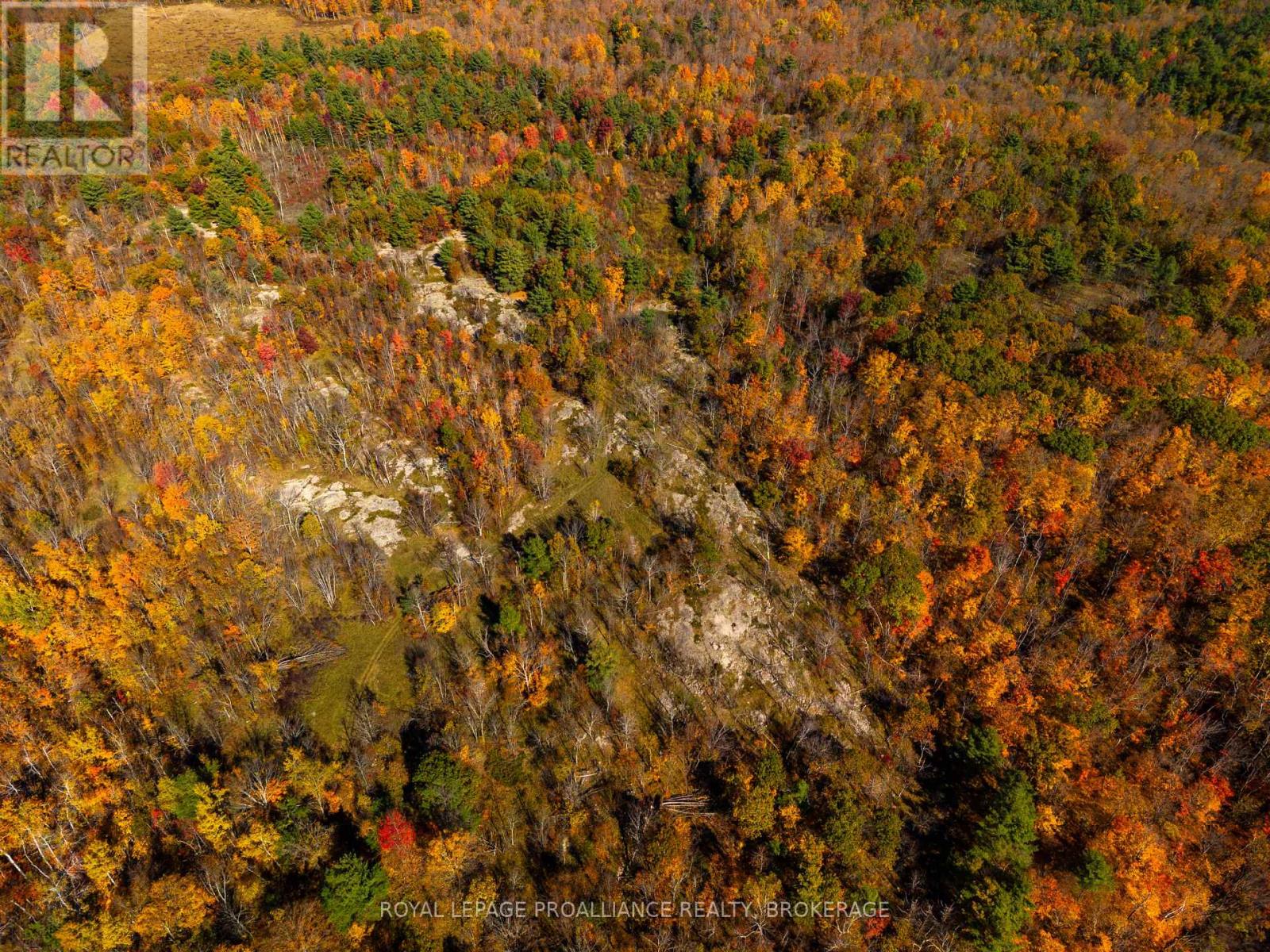 Lot 6 California Road, Stone Mills, Ontario  K0K 1Z0 - Photo 7 - X14106686