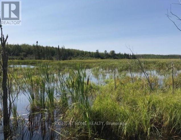 Lot 8 Holland Road, Conmee, Ontario  P0T 1W0 - Photo 6 - X13655874