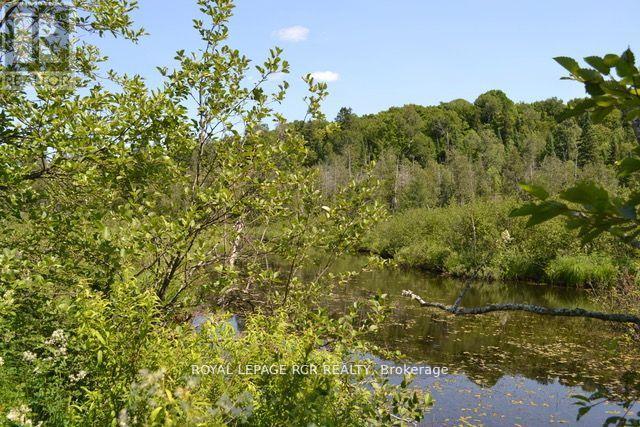 0 Pt Lt 6 Con 9, Highlands East, Ontario  K0M 1R0 - Photo 10 - X14106934