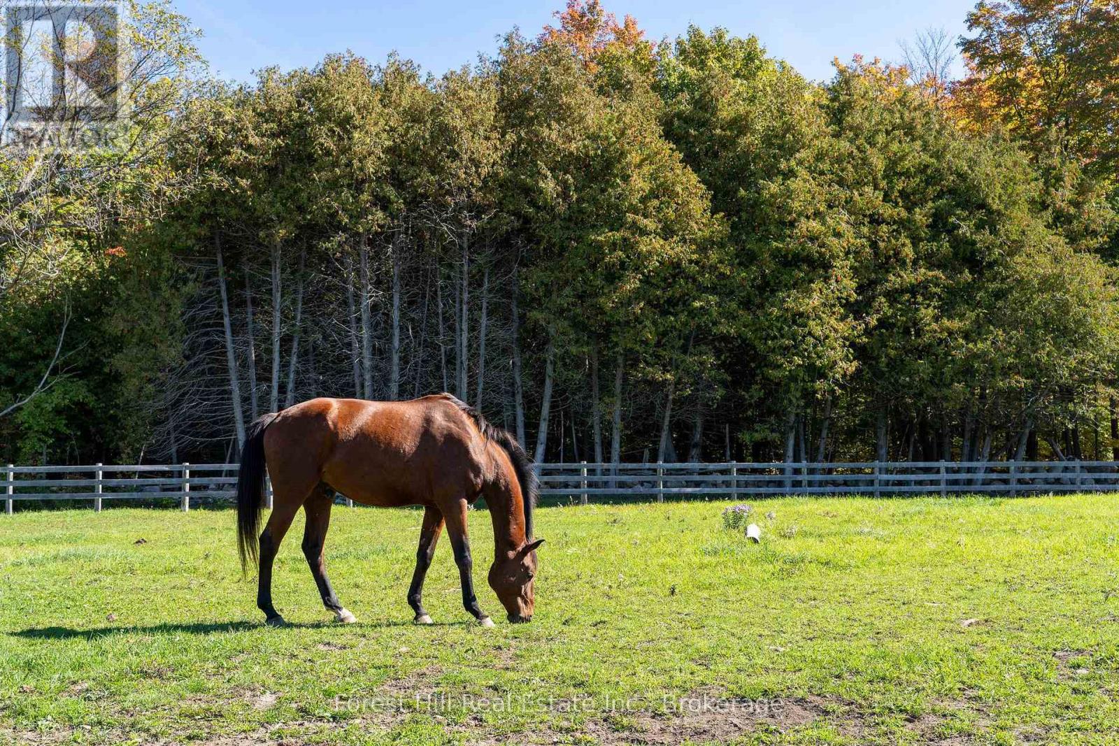 496629 Grey Road 2, Blue Mountains, Ontario N0H 1J0 - Photo 20 - X13243270
