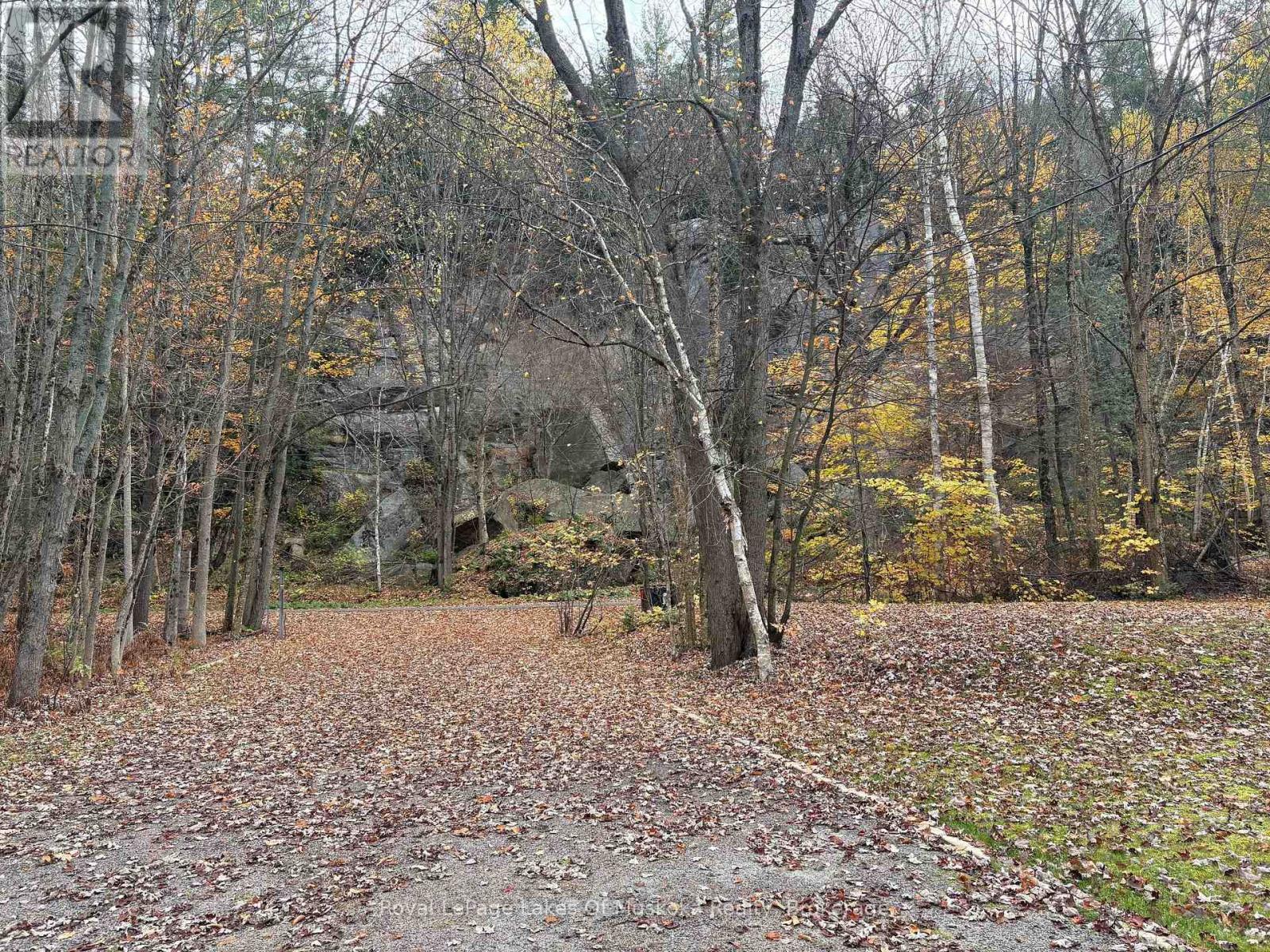 Unit 19 - 2324 Highway 141 Highway, Muskoka Lakes, Ontario  P0B 1M0 - Photo 6 - X13602392