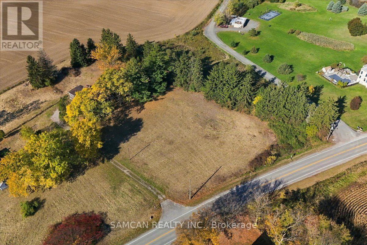 108 Jerseyville Road, Brantford, Ontario  N3T 5M1 - Photo 5 - X14107126