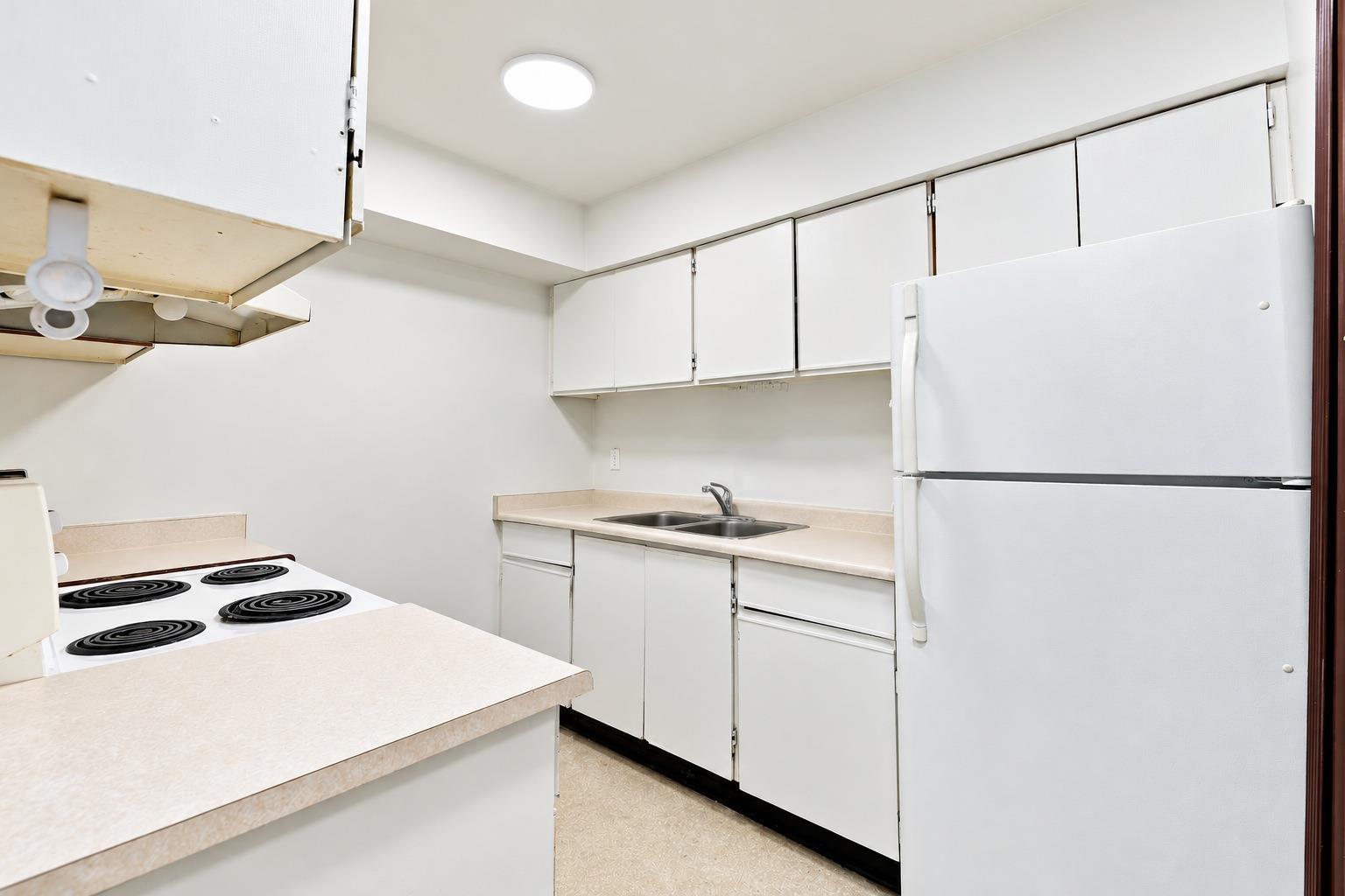 10511 Holly Park Lane, Surrey, British Columbia  V3R 6X8 - Photo 8 - R3177288