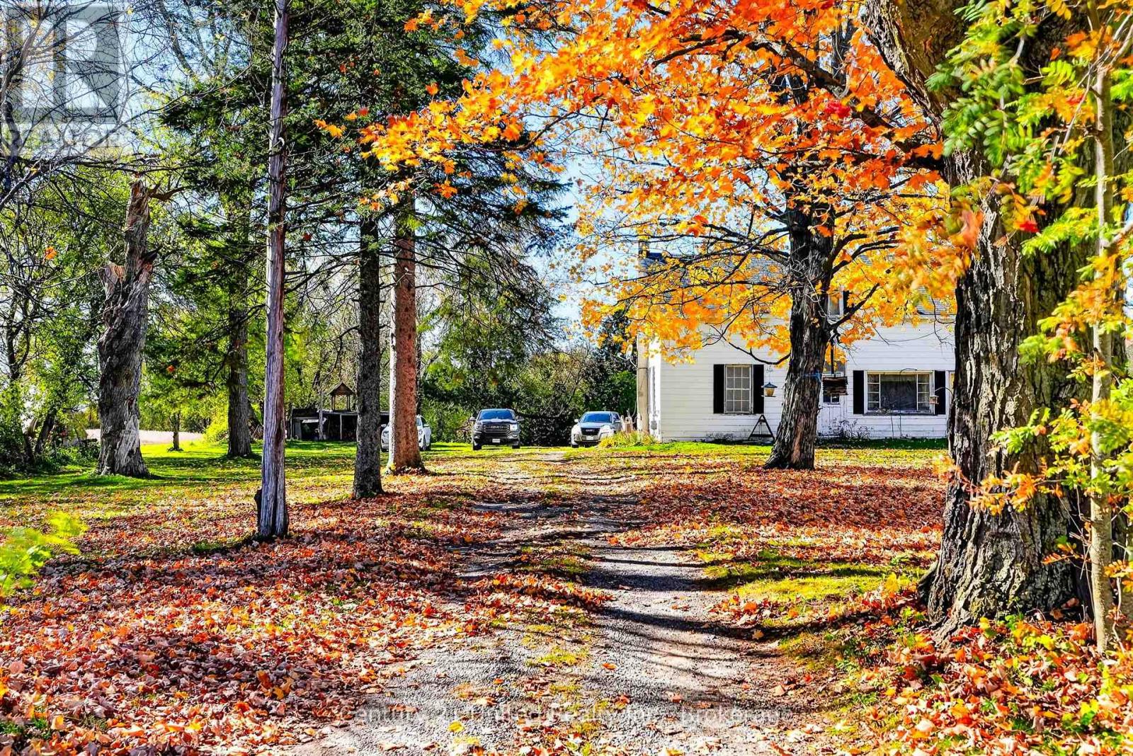334 Silver Maple Road, Alnwick/haldimand, Ontario  K0K 2G0 - Photo 4 - X14107566
