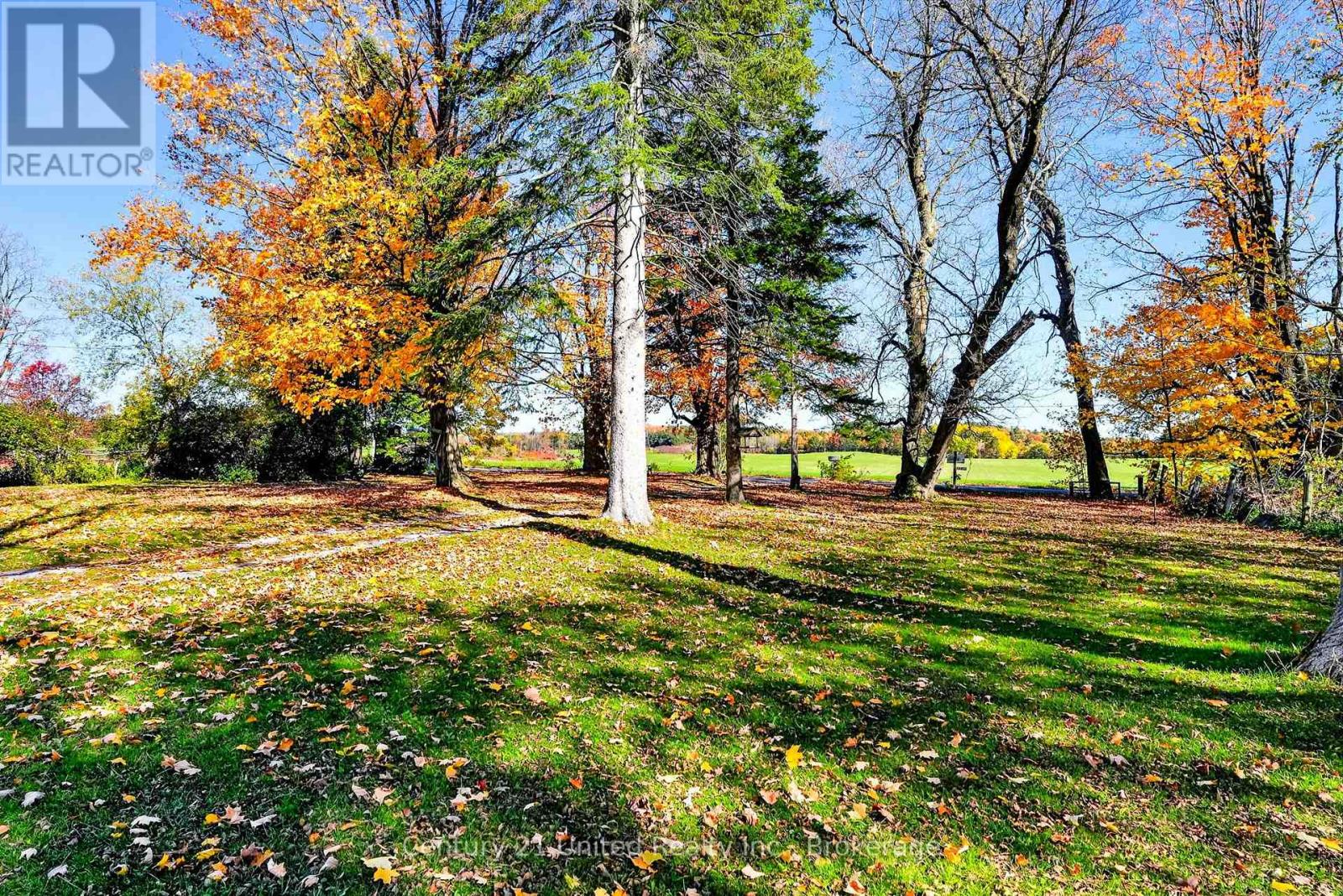 334 Silver Maple Road, Alnwick/haldimand, Ontario  K0K 2G0 - Photo 7 - X14107566