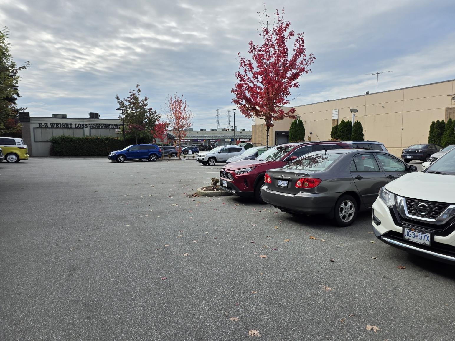 2 12088 75a Avenue, Surrey, British Columbia  V3W 1Y4 - Photo 4 - C8082404