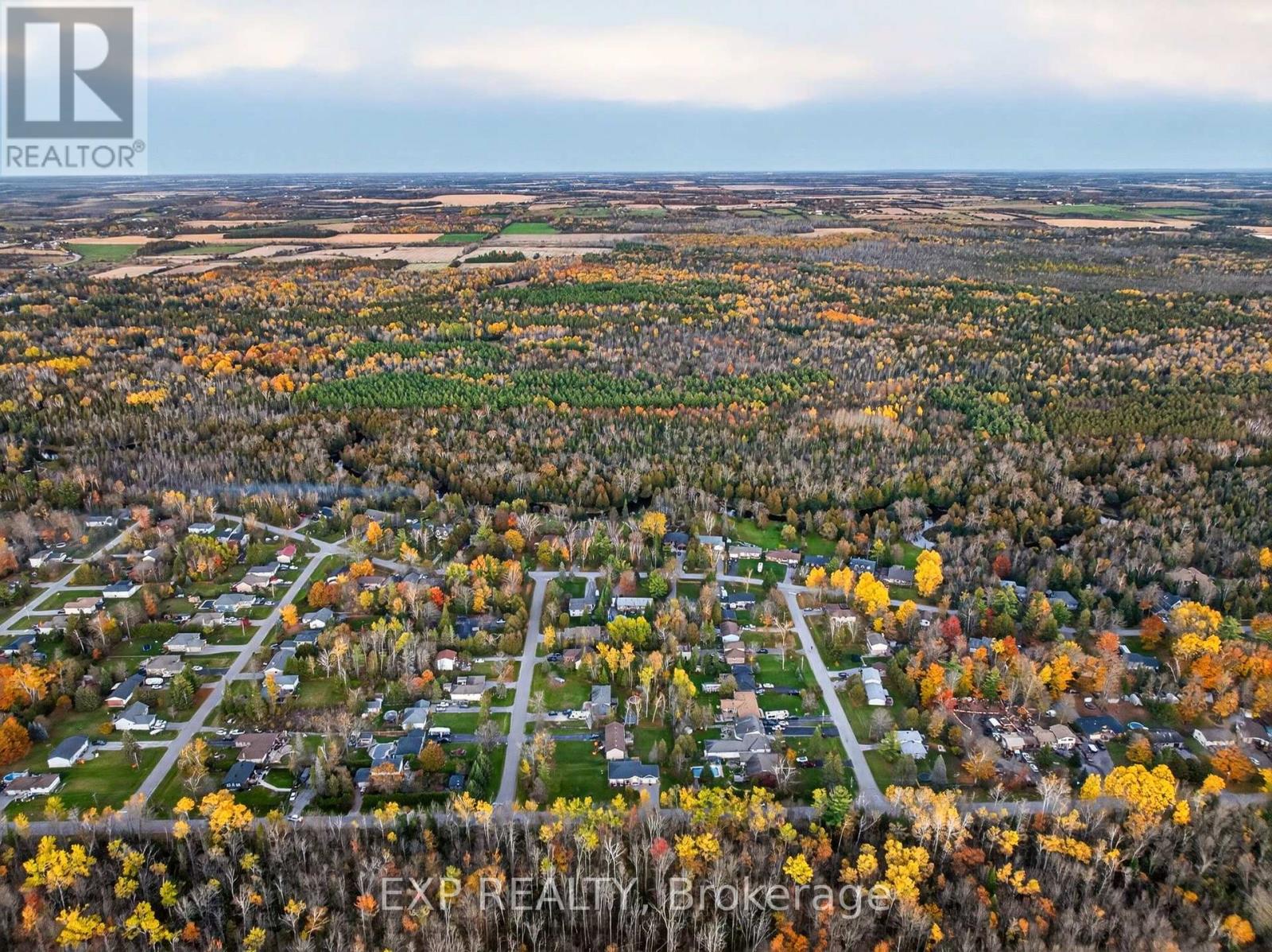 59 Forestry Drive, Georgina, Ontario  L0E 1N0 - Photo 44 - N14107656