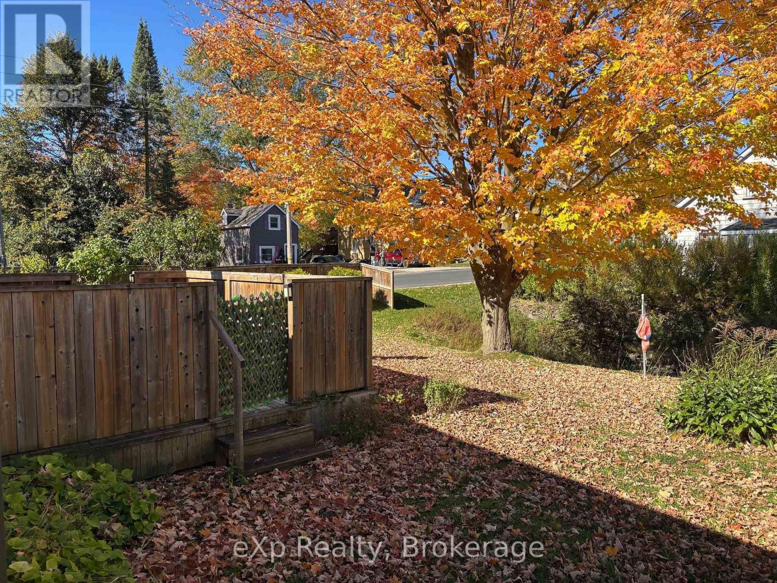 385 11th Avenue, Hanover, Ontario  N4N 2R7 - Photo 7 - X14106298