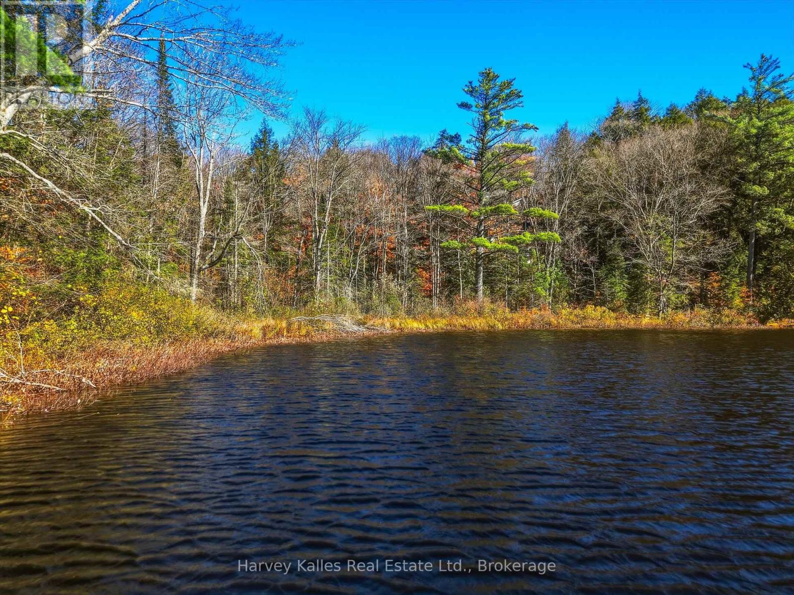 0 Frau Lane, Bracebridge, Ontario  P1L 1X3 - Photo 13 - X14108094