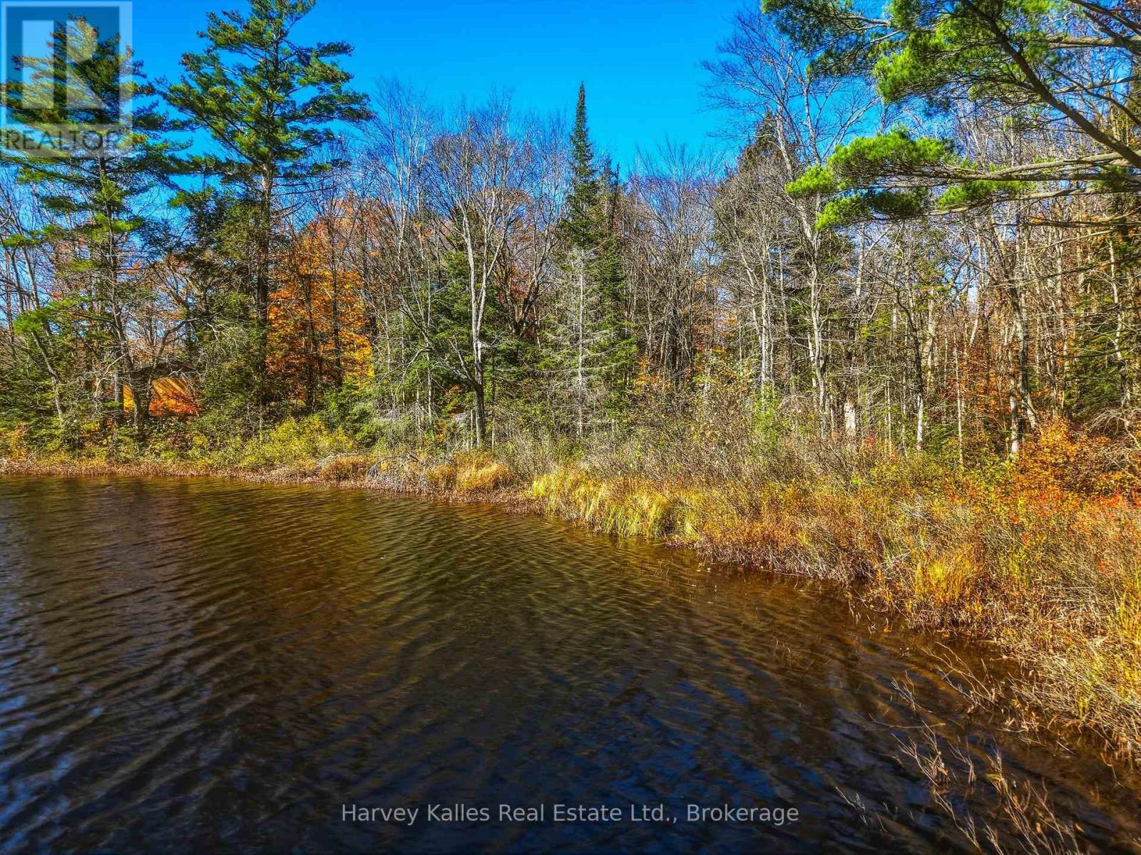 0 Frau Lane, Bracebridge, Ontario  P1L 1X3 - Photo 14 - X14108094