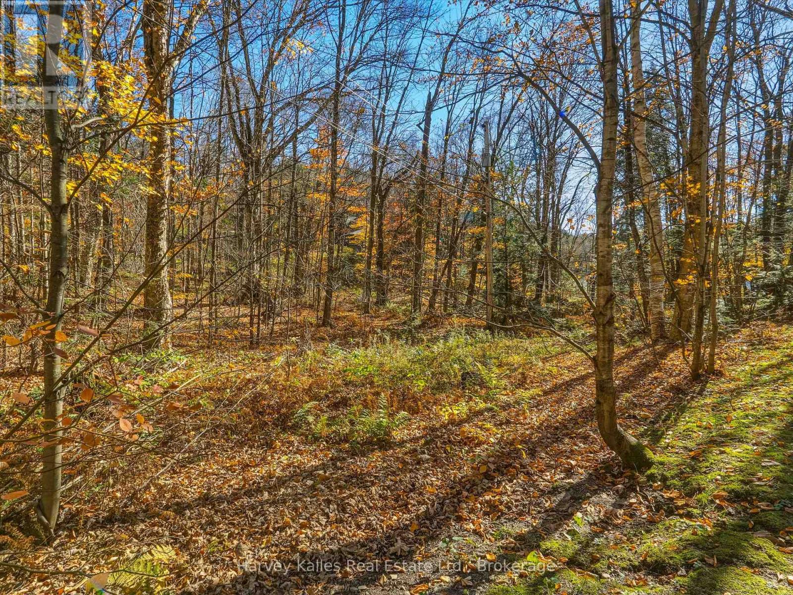0 Frau Lane, Bracebridge, Ontario  P1L 1X3 - Photo 4 - X14108094