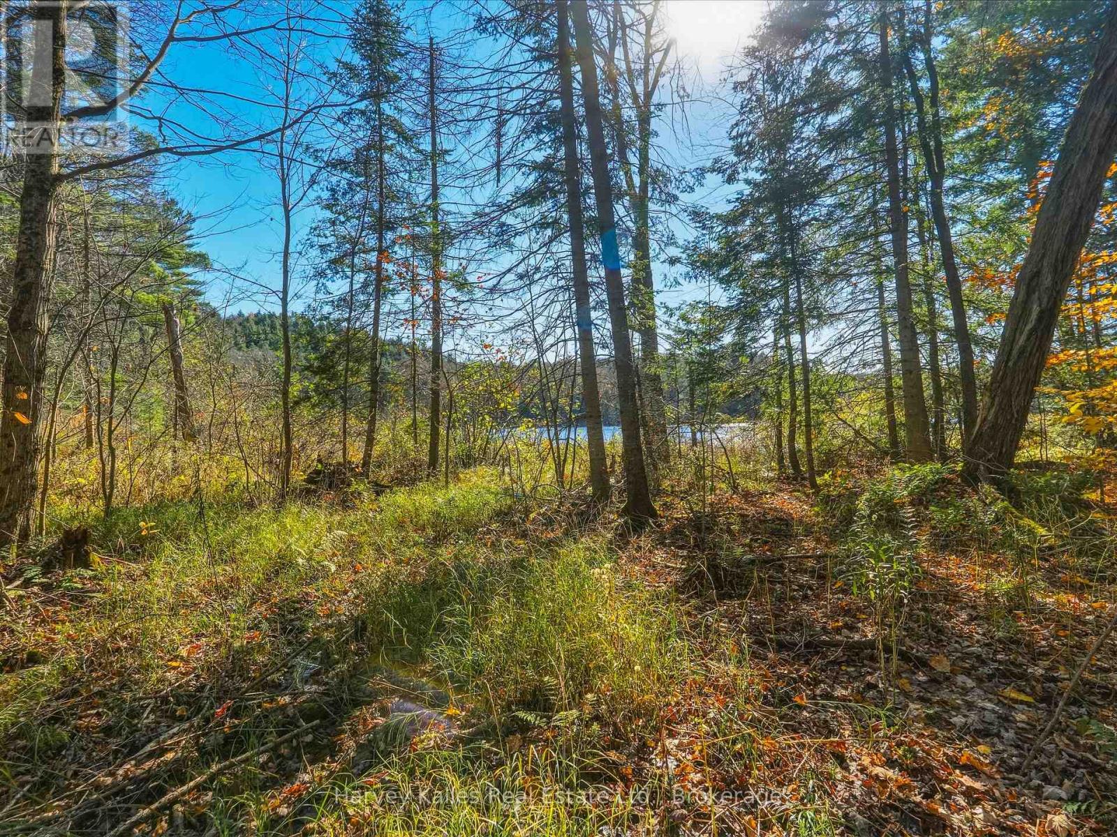 0 Frau Lane, Bracebridge, Ontario  P1L 1X3 - Photo 6 - X14108094
