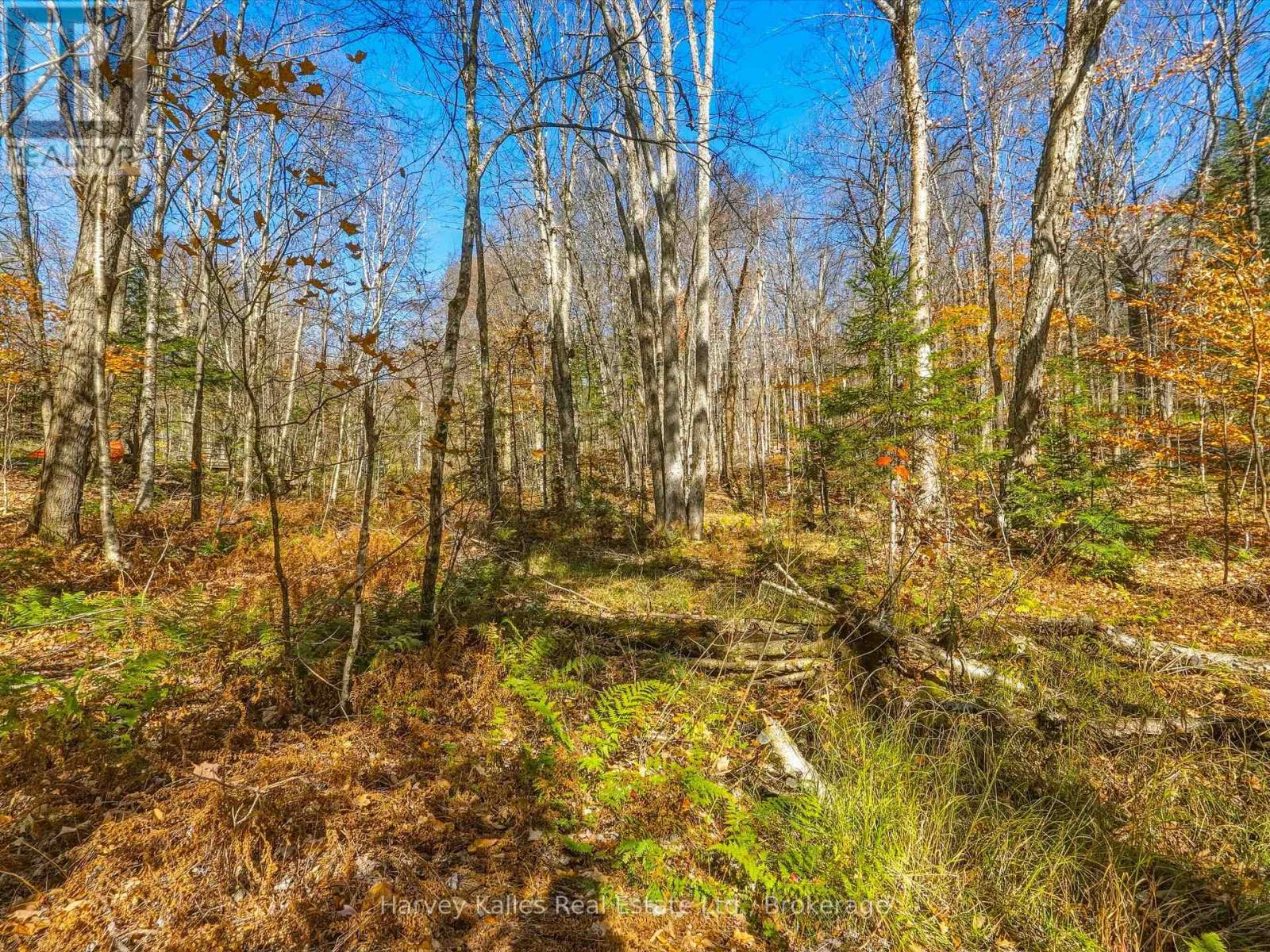 0 Frau Lane, Bracebridge, Ontario  P1L 1X3 - Photo 7 - X14108094